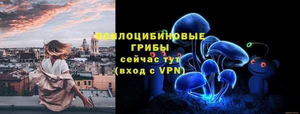 мяу мяу мука Алексеевка