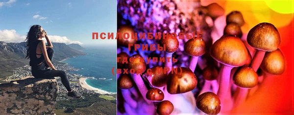 не бодяженный Алексин