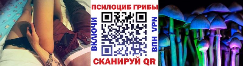 хочу наркоту  Коломна  Галлюциногенные грибы прущие грибы 